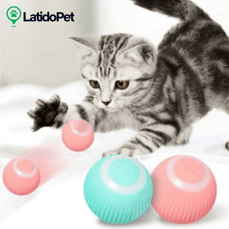 Bola maluca automática para cães e gatos